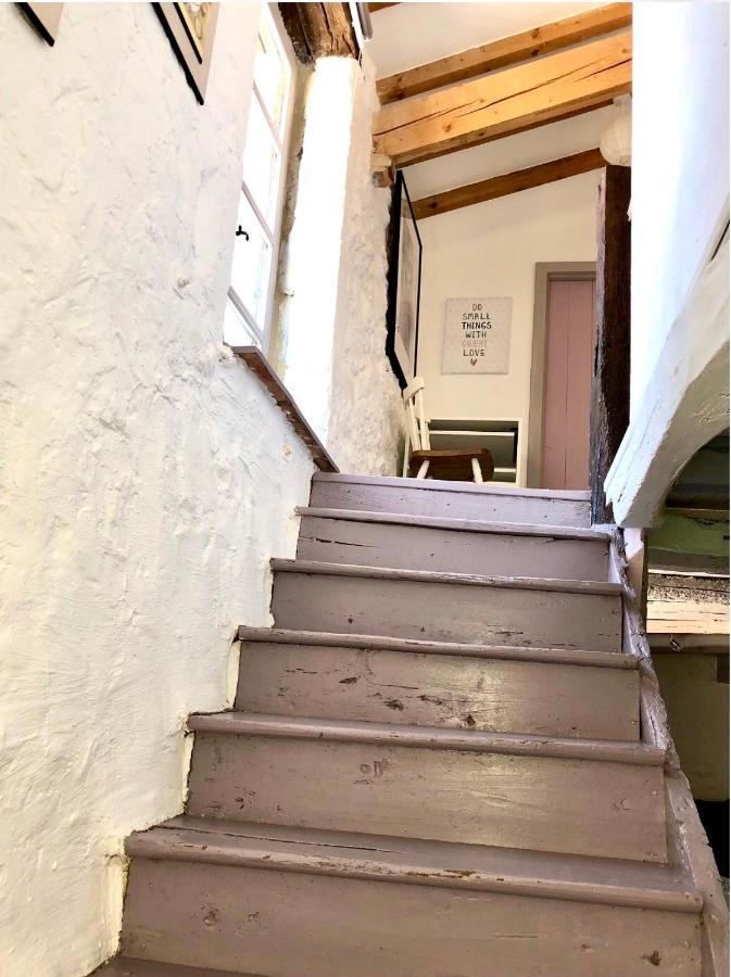 Le Gite De La Maison Des Chats - Gite En Quercy Saint-Amans-du-Pech Luaran gambar