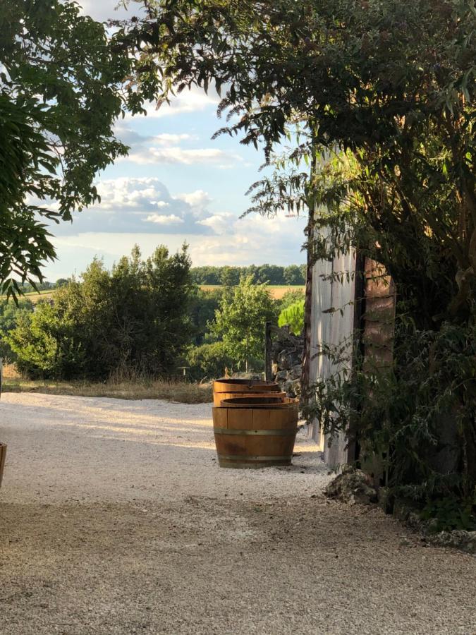 Le Gite De La Maison Des Chats - Gite En Quercy Saint-Amans-du-Pech Luaran gambar