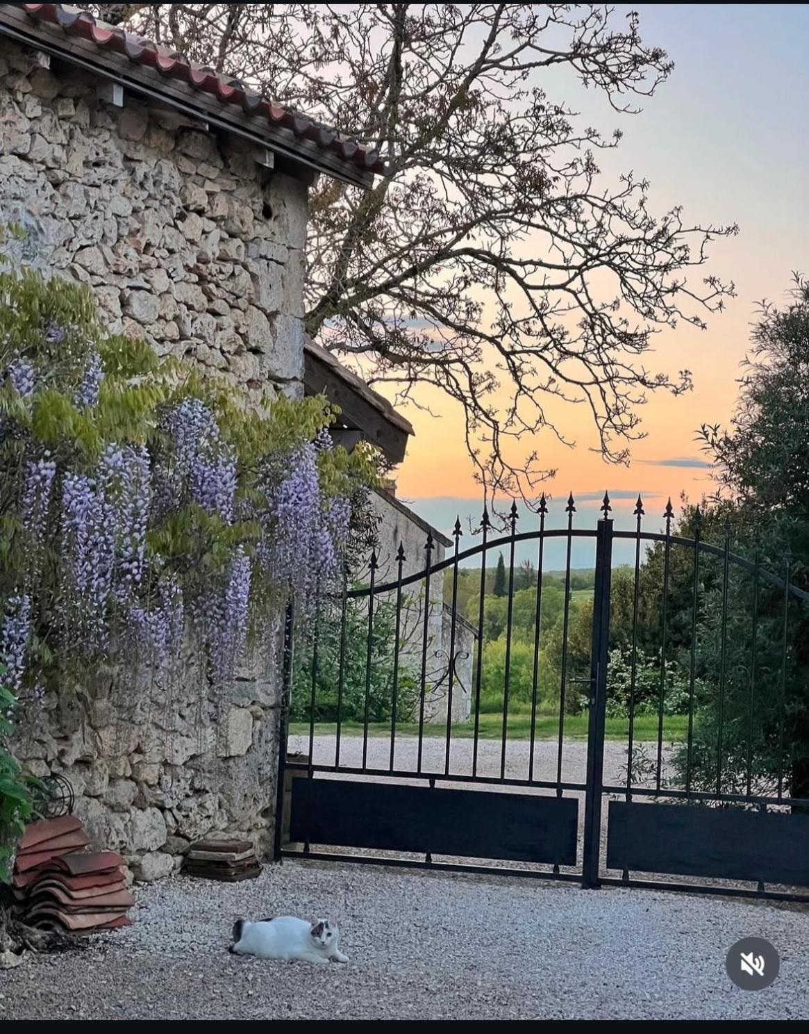 Le Gite De La Maison Des Chats - Gite En Quercy Saint-Amans-du-Pech Luaran gambar
